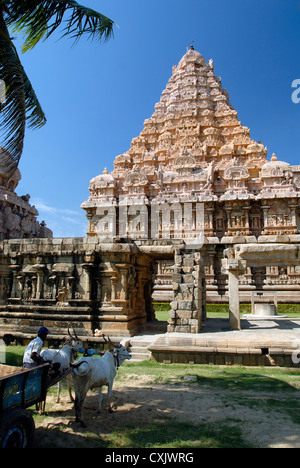 Onzième siècle temple de Shiva dans Gangaikondacholapuram, Tamil Nadu, Inde.site du patrimoine mondial de l'Unesco Banque D'Images