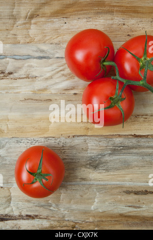 Tomates de vigne, Birmingham, Alabama, USA Banque D'Images