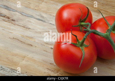 Tomates de vigne, Birmingham, Alabama, USA Banque D'Images