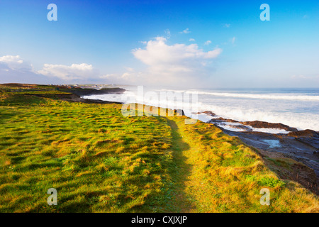 Côte sud-ouest chemin herbeux autour de côte, Trevose Head, Cornwall, Angleterre Banque D'Images