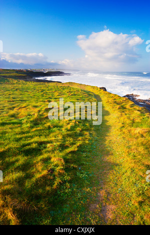 Côte sud-ouest chemin herbeux autour de côte, Trevose Head, Cornwall, Angleterre Banque D'Images