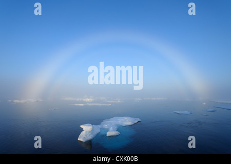 Fogbow, mer du Groenland, l'Arctique, l'Océan Arctique Banque D'Images