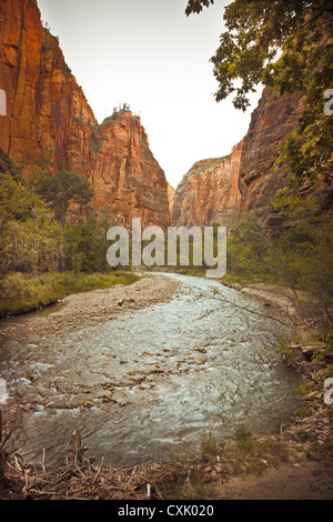 Chemin de randonnée le sentier, Zion National Park, Utah, USA Banque D'Images