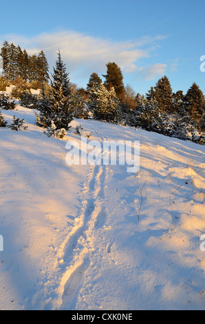 Paysage d'hiver près de Villingen-Schwenningen, Forêt-Noire, Bade-Wurtemberg, Allemagne Banque D'Images