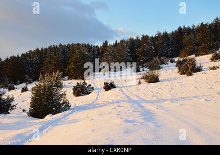 Paysage d'hiver près de Villingen-Schwenningen, Forêt-Noire, Bade-Wurtemberg, Allemagne Banque D'Images