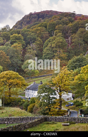 UK Cumbria Vallée de Borrowdale Banque D'Images