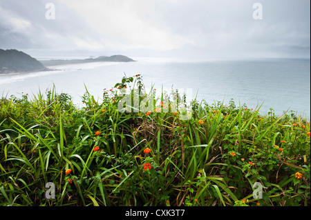 Vue panoramique de l'Ilha do Mel, Parana, Brésil Banque D'Images