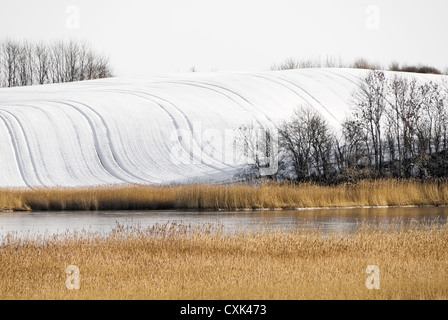 Paysage d'hiver à proximité Gunneby Banque D'Images