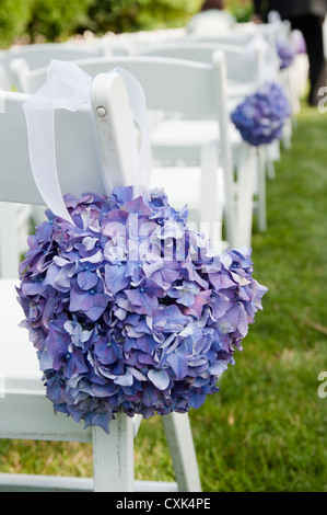 Hortensias sur des chaises à la cérémonie de mariage, Toronto, Ontario, Canada Banque D'Images