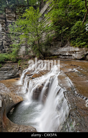 Buttermilk Falls State Park, Ithaca, New York Banque D'Images