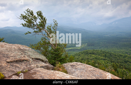 Vue du Mt. Von Hoevenberg, Adirondacks, New York Banque D'Images