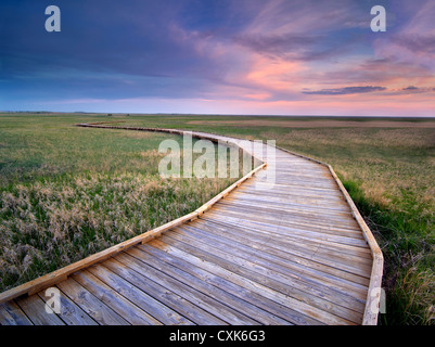 Sentier et coucher de soleil dans le Parc National de Badlands, dans le Dakota du Sud. Banque D'Images