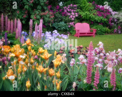 Chaise de jardin et jardin fleuri. Schrieners Iris Gardens, Salem, Oregon. Banque D'Images