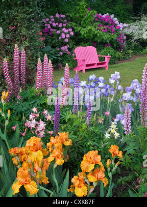 Chaise de jardin et jardin fleuri. Schrieners Iris Gardens, Salem, Oregon. Banque D'Images