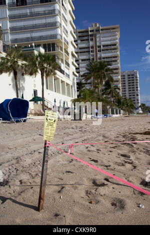 Les tortues de mer nichent bouclés en face des appartements hôtels et les développements en bord de la plage de Fort Lauderdale florida usa Banque D'Images