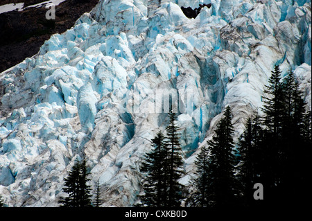 Le glacier Coleman vu de l'Héliotrope Ridge Trail dans le Mt. Baker National Forest. L'État de Washington. Banque D'Images