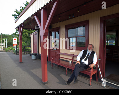 Garde d'un train à la gare de bodiam Banque D'Images