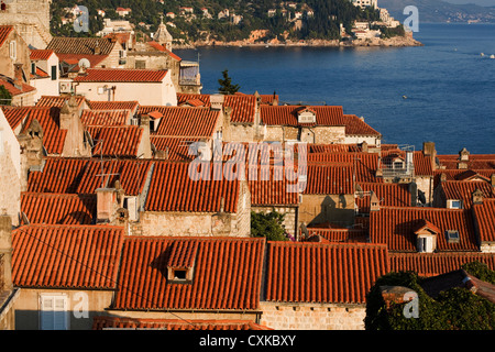 Les toits de tuiles rouges Dubrovnik Croatie Banque D'Images