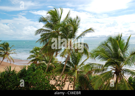 Plage et l'eau turquoise de l'Océan Indien, Bentota, Sri Lanka Banque D'Images