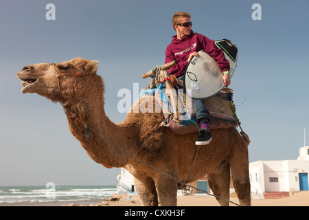 Surfer avec une planche de surf sur Camel en Sidi Kaouki, Maroc Banque D'Images