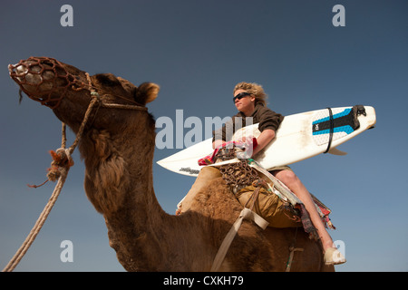 Surfer avec une planche de surf équitation sur un chameau sur la plage de Sidi Kaouki, Maroc Banque D'Images