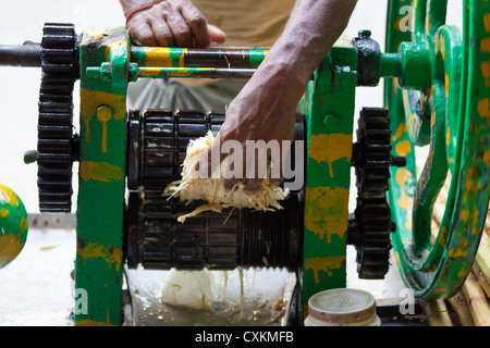 Presse de la canne à sucre à Kolkata Banque D'Images