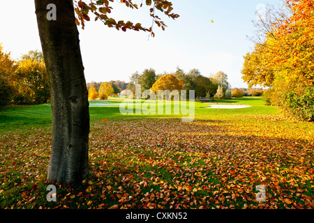 Golf avec arbres en automne, en Rhénanie du Nord-Westphalie, Allemagne Banque D'Images