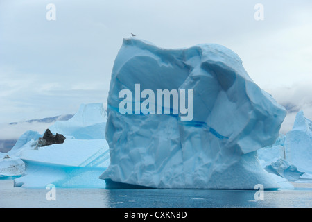 Iceberg, Rode, Fjord Scoresby Sund, Groenland Banque D'Images