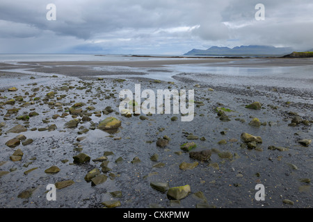 Rivage, Péninsule de Snæfellsnes, Vesturland, Islande Banque D'Images