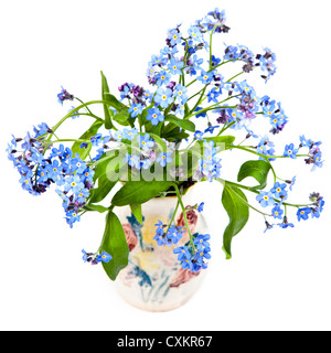 Joli printemps myosotis dans un vase de céramique. Banque D'Images