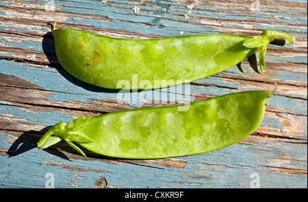 Les pois frais du jardin sur une table rustique. Banque D'Images