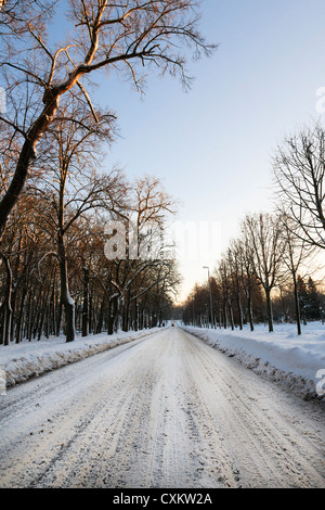 Une voiture s'aventurer à traverser le parc Kadriorg en hiver. En 1722, plus d'un demi-mille arbres ont été plantés dans le parc. Banque D'Images