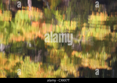 Automne feuilles ondulées reflet dans l'eau Banque D'Images