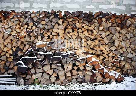 Pile de bois couverte de neige, Jelenia Gora, Pologne. Banque D'Images