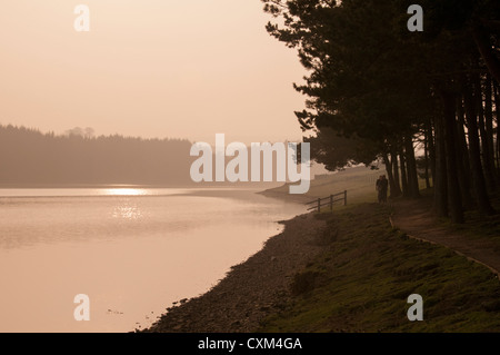 Belle lumière du soir brumeux au coucher du soleil sur l'eau calme du pittoresque lac rural tranquille & 3 secoueurs - Réservoir Thruscross, North Yorkshire, Angleterre, Royaume-Uni. Banque D'Images