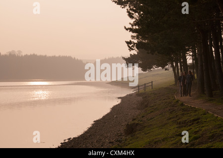 Belle lumière du soir brumeux au coucher du soleil sur l'eau calme du pittoresque lac rural tranquille & 3 secoueurs - Réservoir Thruscross, North Yorkshire, Angleterre, Royaume-Uni. Banque D'Images