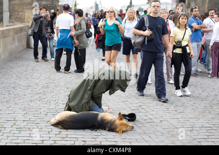 Mendiant dans les rues de Prague avec son chien Canis lupus familiaris Banque D'Images