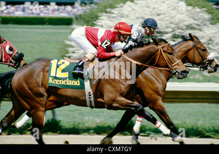 Courses de chevaux pur-sang / keeneland race course, Lexington, Kentucky Banque D'Images