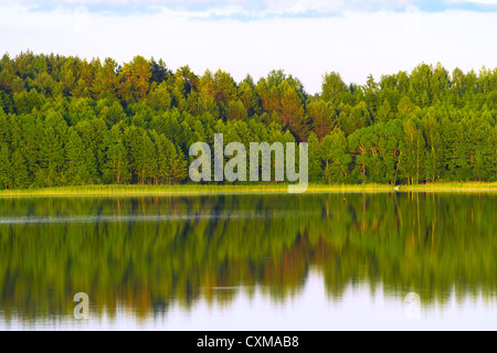 Belle vue sur le lac avec des arbres verts un reflet dans l'eau Banque D'Images