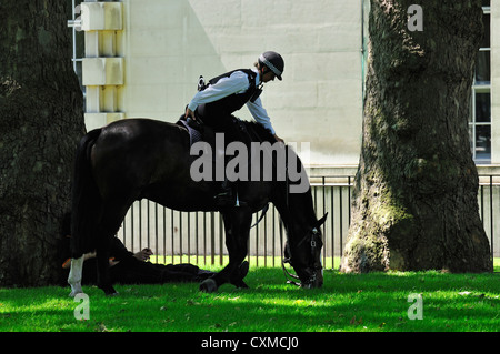 Londres, Angleterre, Royaume-Uni. Monté sur le cheval de la police Banque D'Images