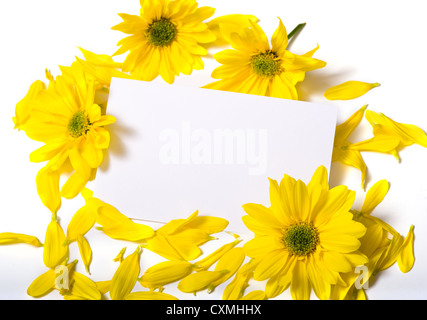 Une note blanche-carte sur fond blanc entouré de marguerites jaunes with copy space Banque D'Images