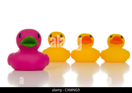 Un canard en caoutchouc rose à la tête d'un groupe de canards en caoutchouc jaune signifie que les dirigeants doivent être unique et se démarquer de la foule Banque D'Images