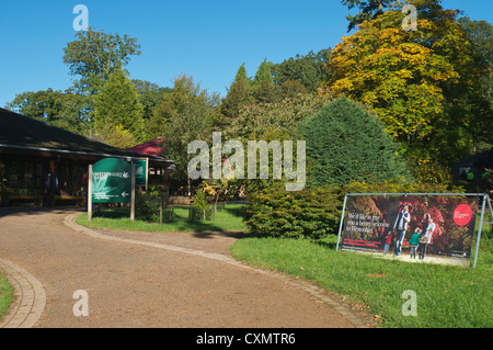 Westonbirt Arboretum shop Banque D'Images