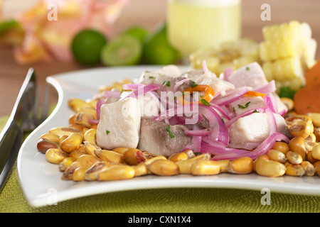 Ceviche de style péruvien fabriqué à partir de matières le mahi-mahi (poisson : espagnol perico), oignons rouges et l'AJI (Chili) Banque D'Images