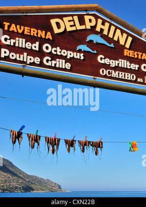 ( Le calamar fraîchement pêché une délicatesse méditerranéenne )délimité et le séchage au soleil sur une ligne à l'extérieur une taverne à Plaka Banque D'Images