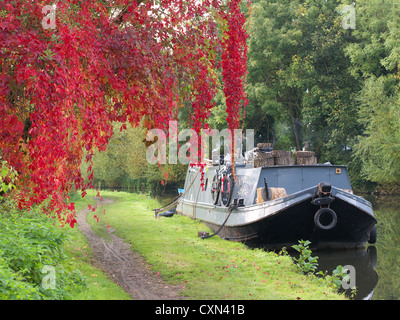 Un joli chemin de halage sous les feuilles d'automne le long du Canal Grand Union en Hertfordshire Banque D'Images