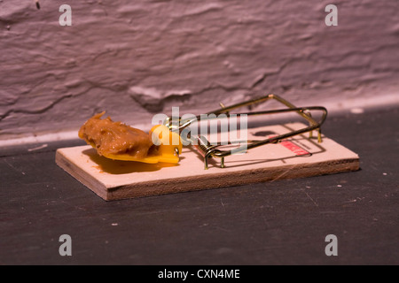 Piège à Souris sur le plancher, appâtés avec du beurre d'Arachide Banque D'Images