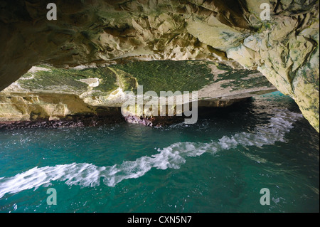 Les falaises de craie blanche et de grottes souterraines Rosh ha-Hanikra Banque D'Images