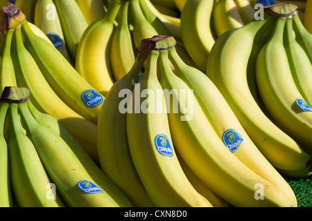 Des. Les bananes à la vente. Salisbury échoppe de marché. England UK Banque D'Images