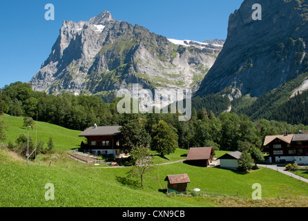 Alpine chalets et les montagnes Grindelwald Oberland bernois Suisse Banque D'Images